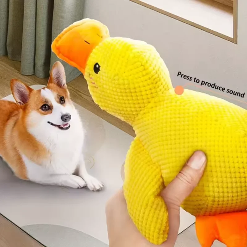 DuckBuddy
