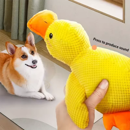 DuckBuddy
