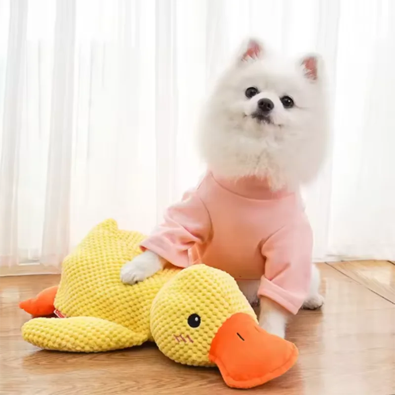 DuckBuddy