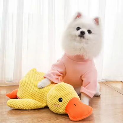 DuckBuddy