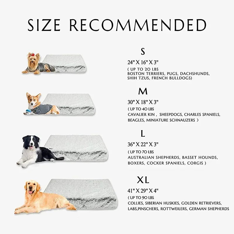PawLuxe Mat