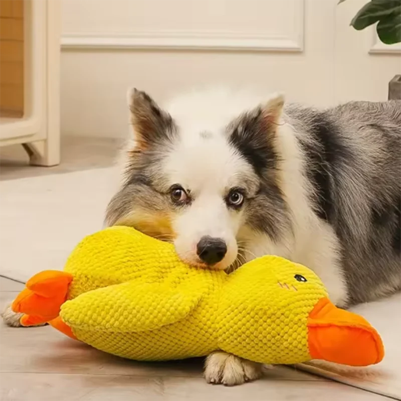 DuckBuddy