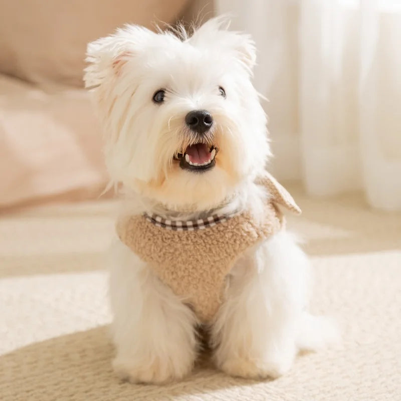 Duck & Bear Pet Outfit