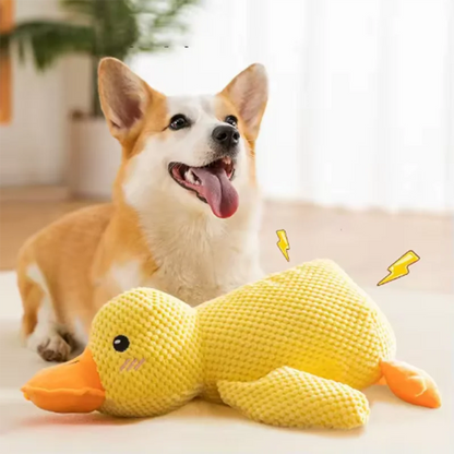 DuckBuddy