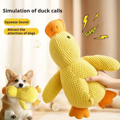 DuckBuddy