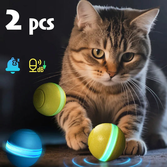 SmartPaw Ball