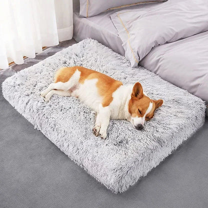 PawLuxe Mat