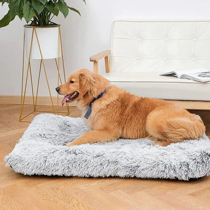 PawLuxe Mat