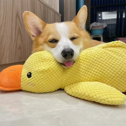 DuckBuddy