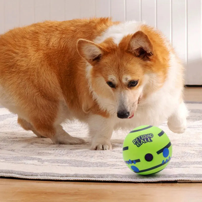 HappyPaw Ball